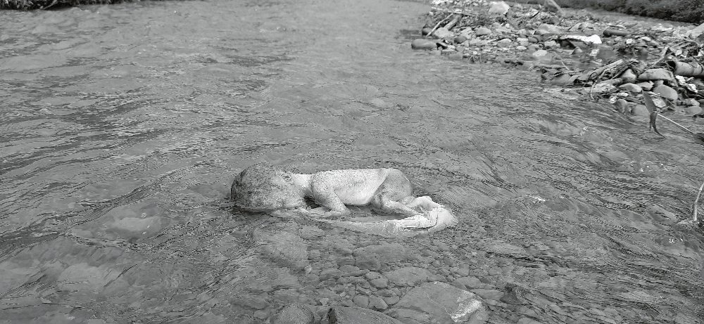 खोलामा भेटियो प्लाष्टिकमा बेरेर फालिएको नवजात शिशुकाे लाश