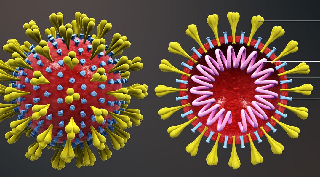 सोमबार थप ५ सय ८१ जनामा कोरोना पुष्टि