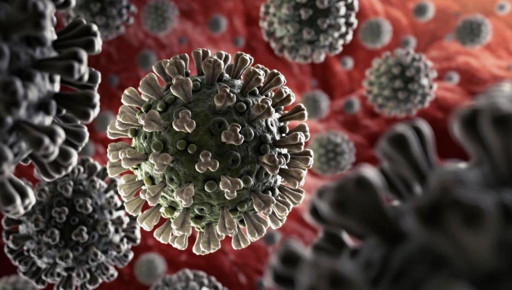 नेपालमा कोरोना संक्रमितको संख्या ४२ पुग्यो