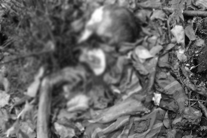 तीन महिनादेखि हराएका किशोरको कंकाल भेटियो 