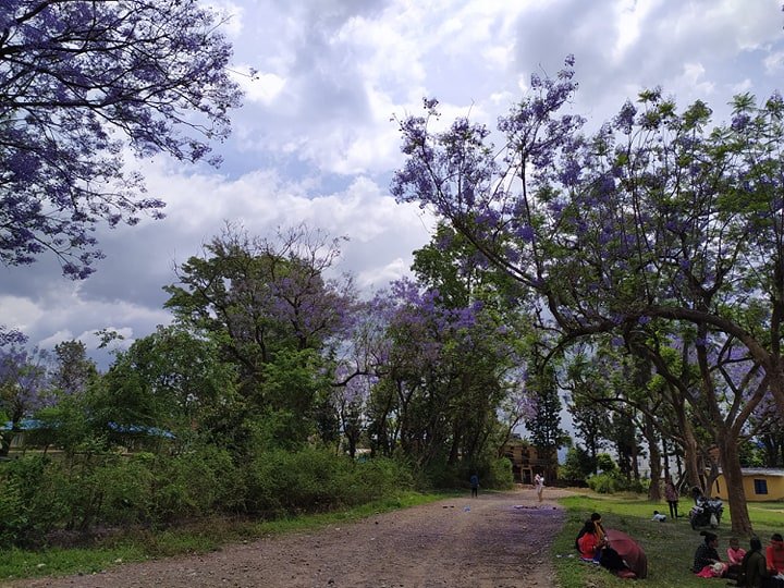 लकडाउनले स-सानो कुराको महत्व बुझायो