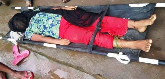 सर्पले टोकेपछि झारफुक गर्दागर्दै मृत्यु