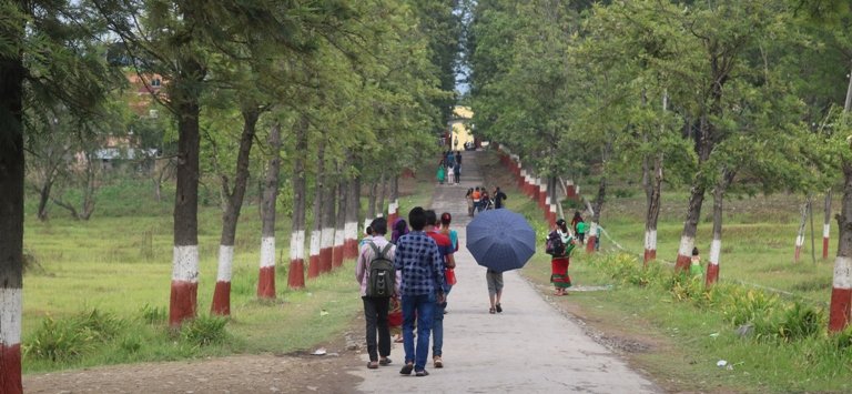 बुलबुले उद्यानभित्र हुन्छ ‘ड्रग्सको डील’