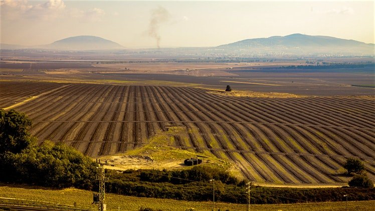 इजरायल डायरी