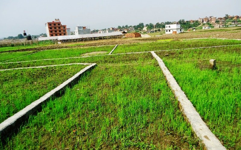 जग्गाको कित्ताकाट खुल्यो