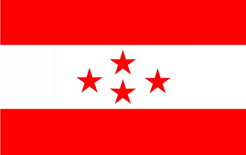 कांग्रेसले बैतडीबाट खाता खोल्यो, नेकपाका उम्मेदवार ४ मतले पराजित