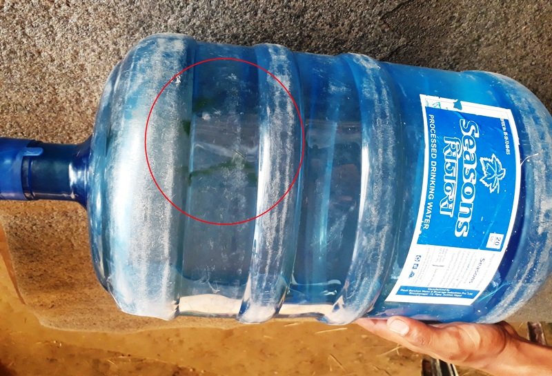 'सिजन्स' पानीको जारमा लेउ भेटियो