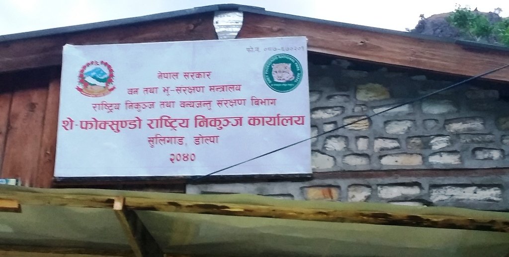 अवैधरुपमा यार्सागुम्वा संकलन गर्ने ४९ जना निकुञ्जको फन्दामा