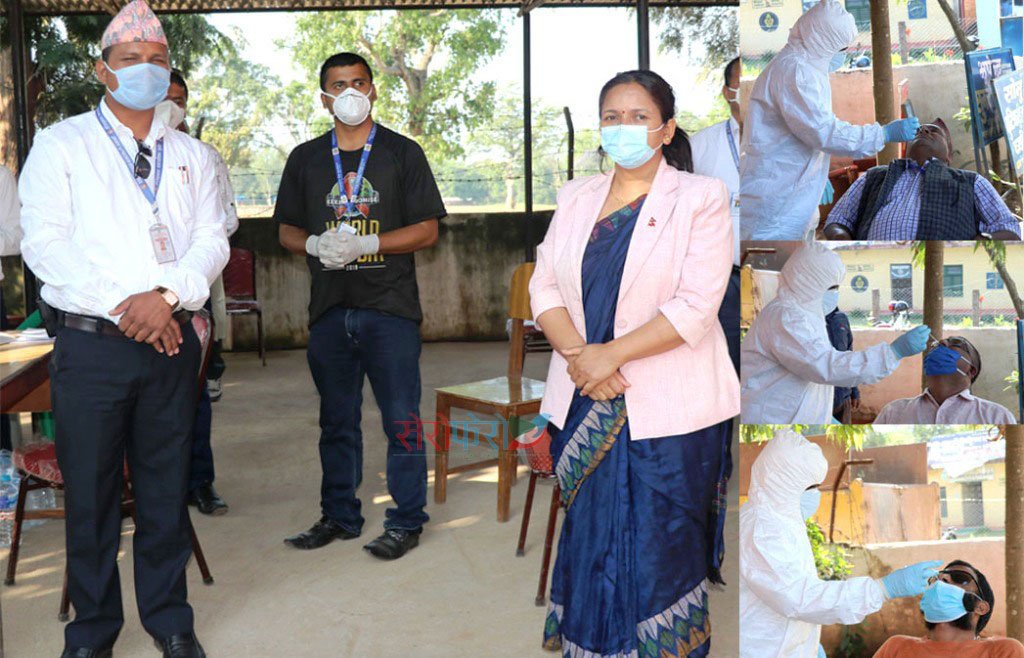 वीरेन्द्रनगर नगरपालिका द्वारा १७७ जनाको कोरोना परिक्षणको लागी नमुना संकलन 