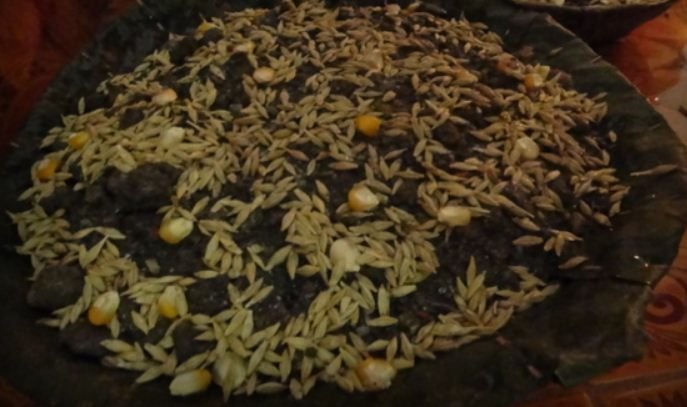 आज घटस्थापना, दशैंघरमा विधिवत् राखियो जमरा 