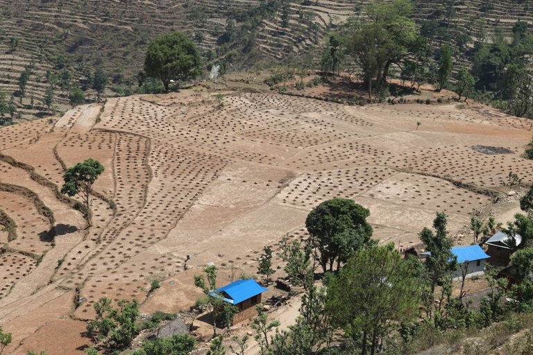 माटोमा मिसाइएको पौरख !