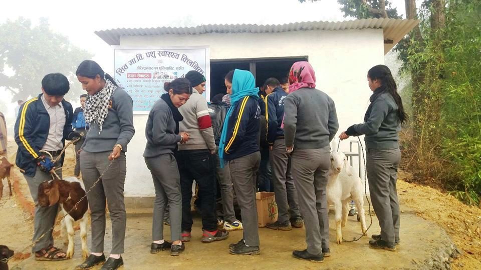 विद्यालयमा पशु स्वास्थ्य क्लिनिक